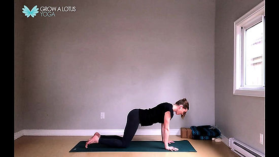 Beginner Yoga (Core)